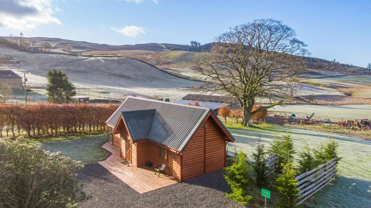 Wildcat Chalet Cray (Perthshire)